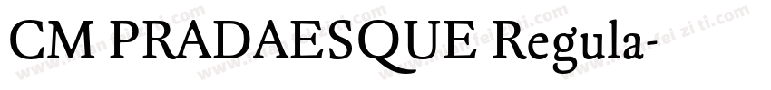 CM PRADAESQUE Regula字体转换
